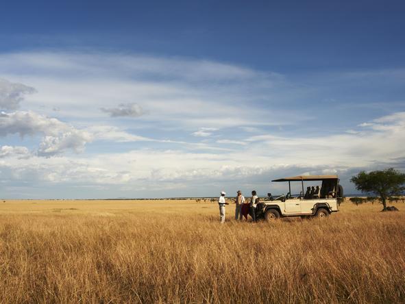 Singita Sabora Tented Camp - Game Drive 